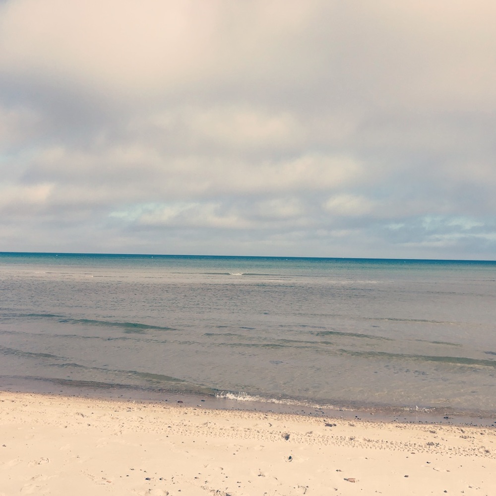 Meet your Posher, Jodie